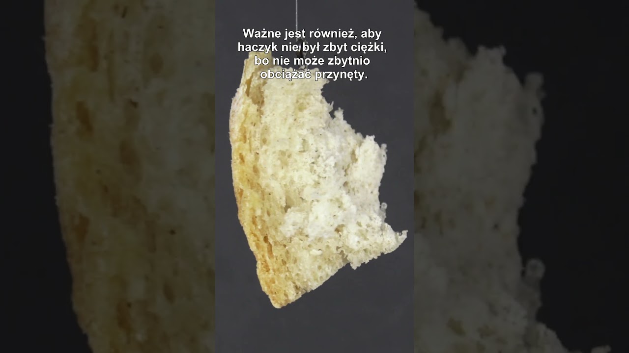 Przynęta stara jak świat  - chleb na powierzchni rzeki