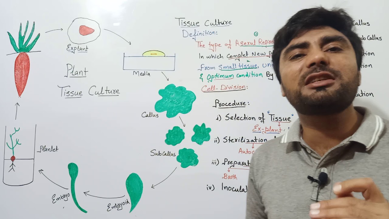 Tissue Culture in Plants| Cell Techniques @biologywithmuhammadsajid FSc BS MSc ALevel Students