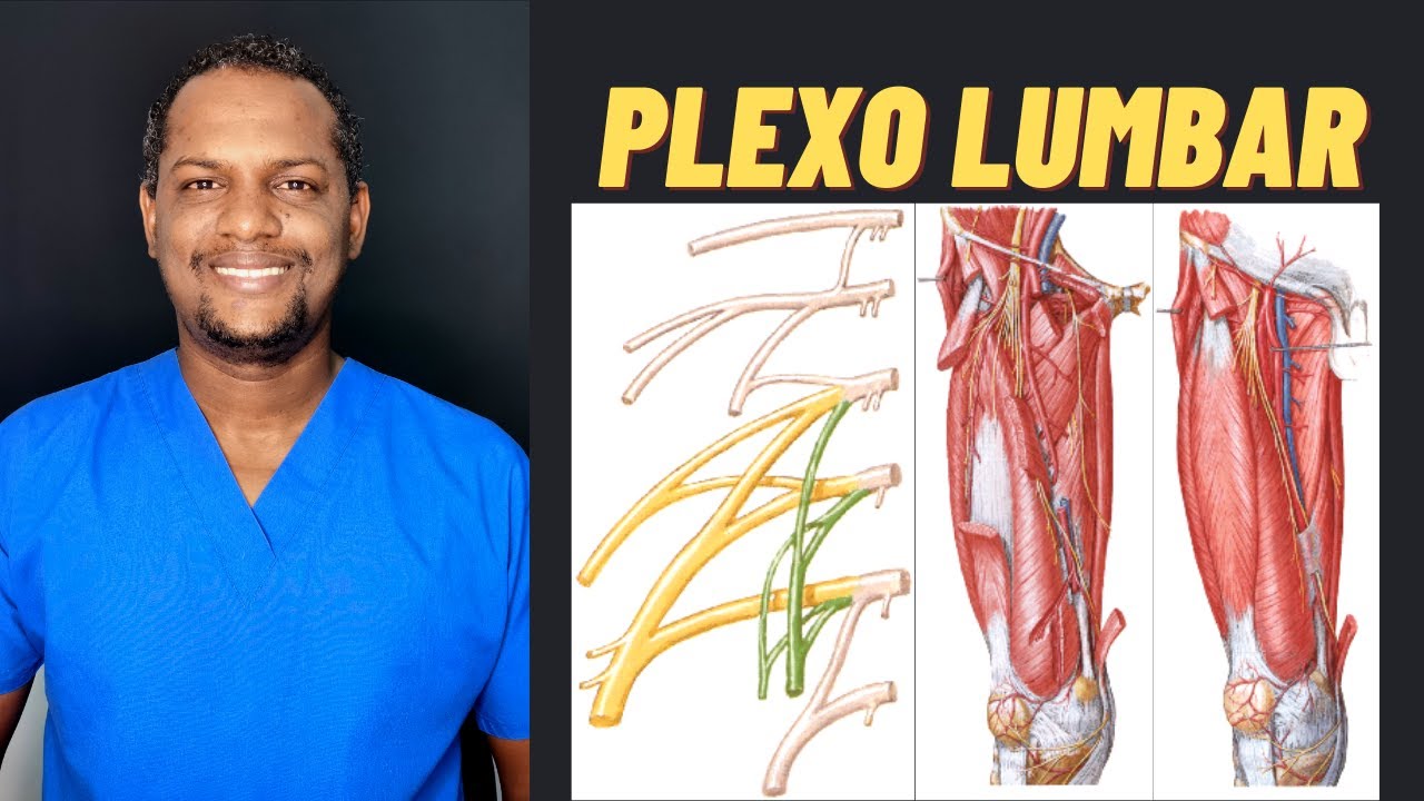 Plexo Lumbar 2020