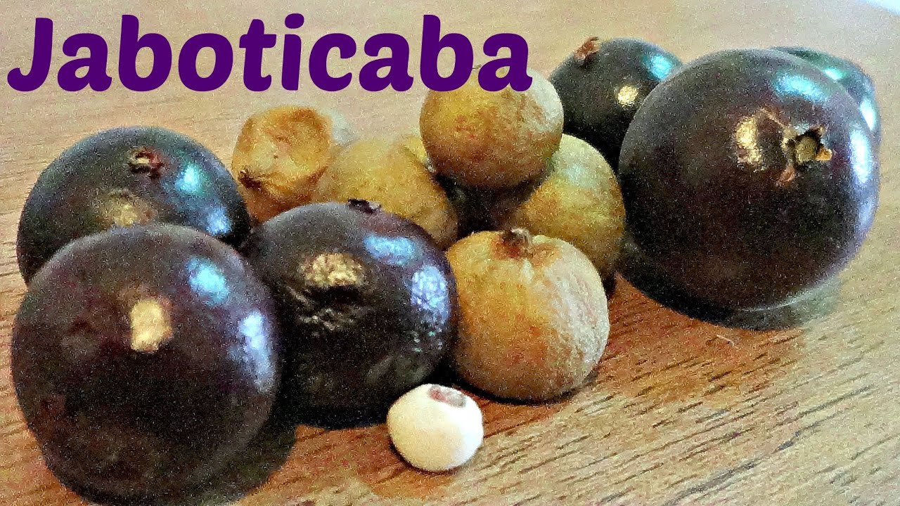 Jaboticaba Comparison - Weird Fruit Explorer - Ep 118