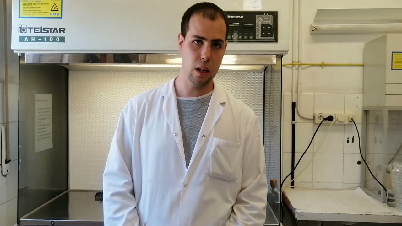 Pr&aacute;cticas cultivo in vitro vegetal - Torribera