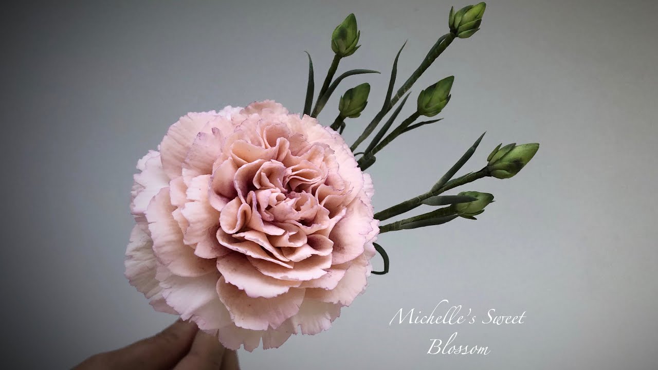 Sugar Carnation Tutorials ( part-1)
