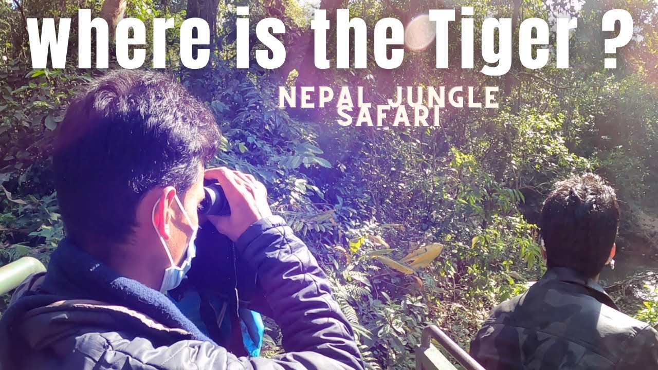 Nepal jungle safari, Chitwan national park