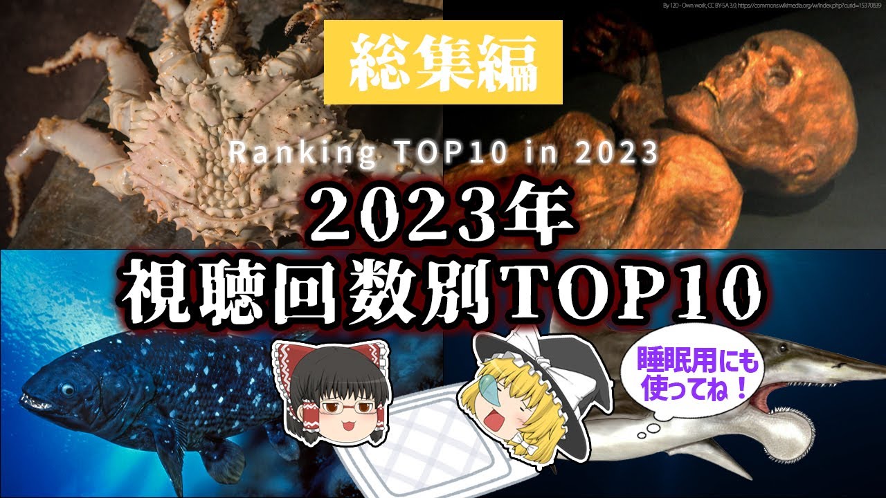 【睡眠用・ゆっくり解説】2023年視聴回数別ランキング！総集編【広告最初のみ　途中広告なし】