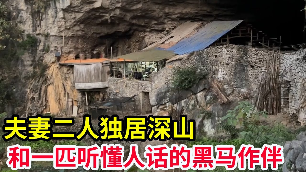 夫妻独居深山洞穴，道路艰难不通车鲜少下山，只有一匹听懂人话的黑马作伴【山农乐哥】