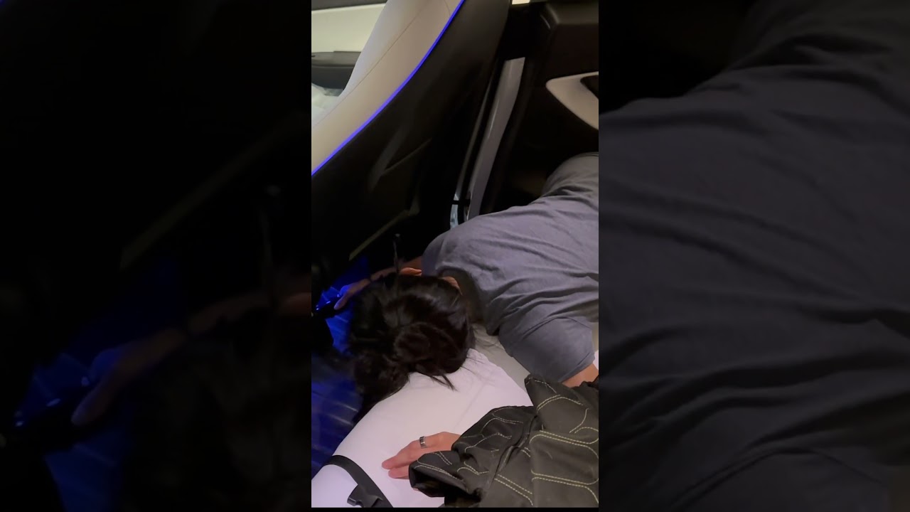 My Wife Spilled Water on my Tesla Seats&hellip;