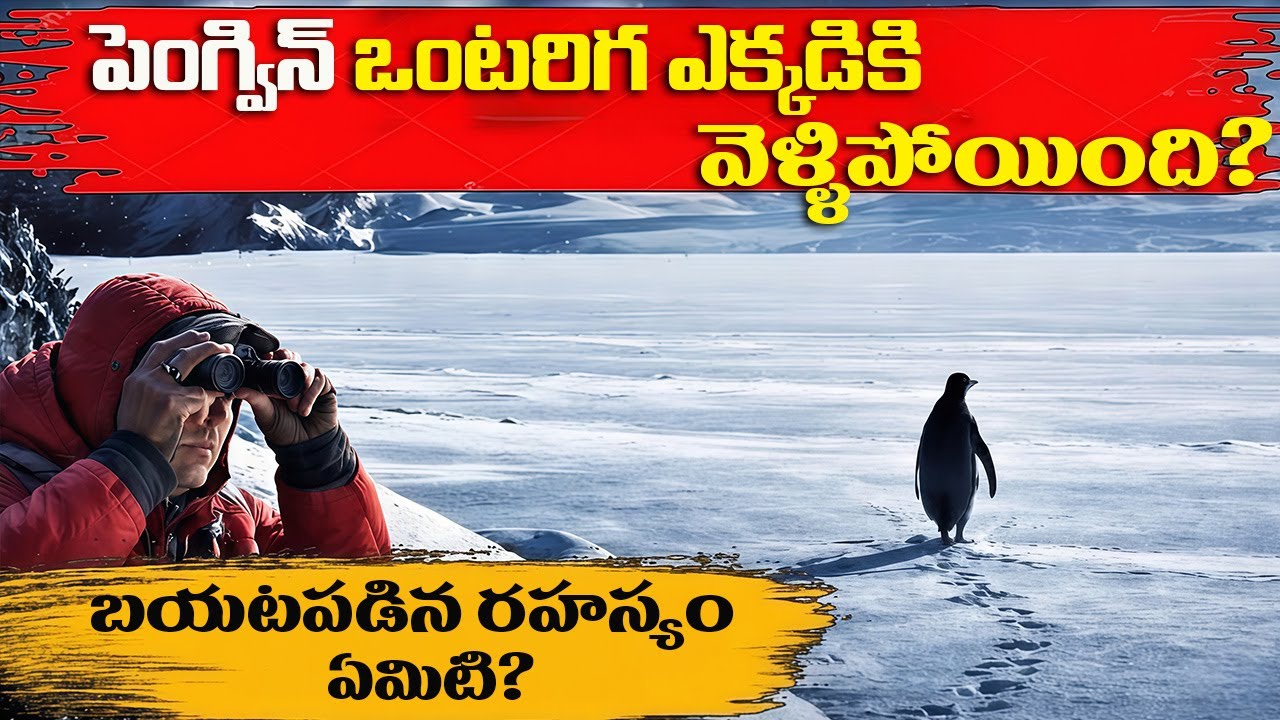 పెంగ్విన్లు ఎందుకని ప్రమాదకరమైన జీవులు? | Why You Should be Afraid of Penguins | FN-20 Telugu