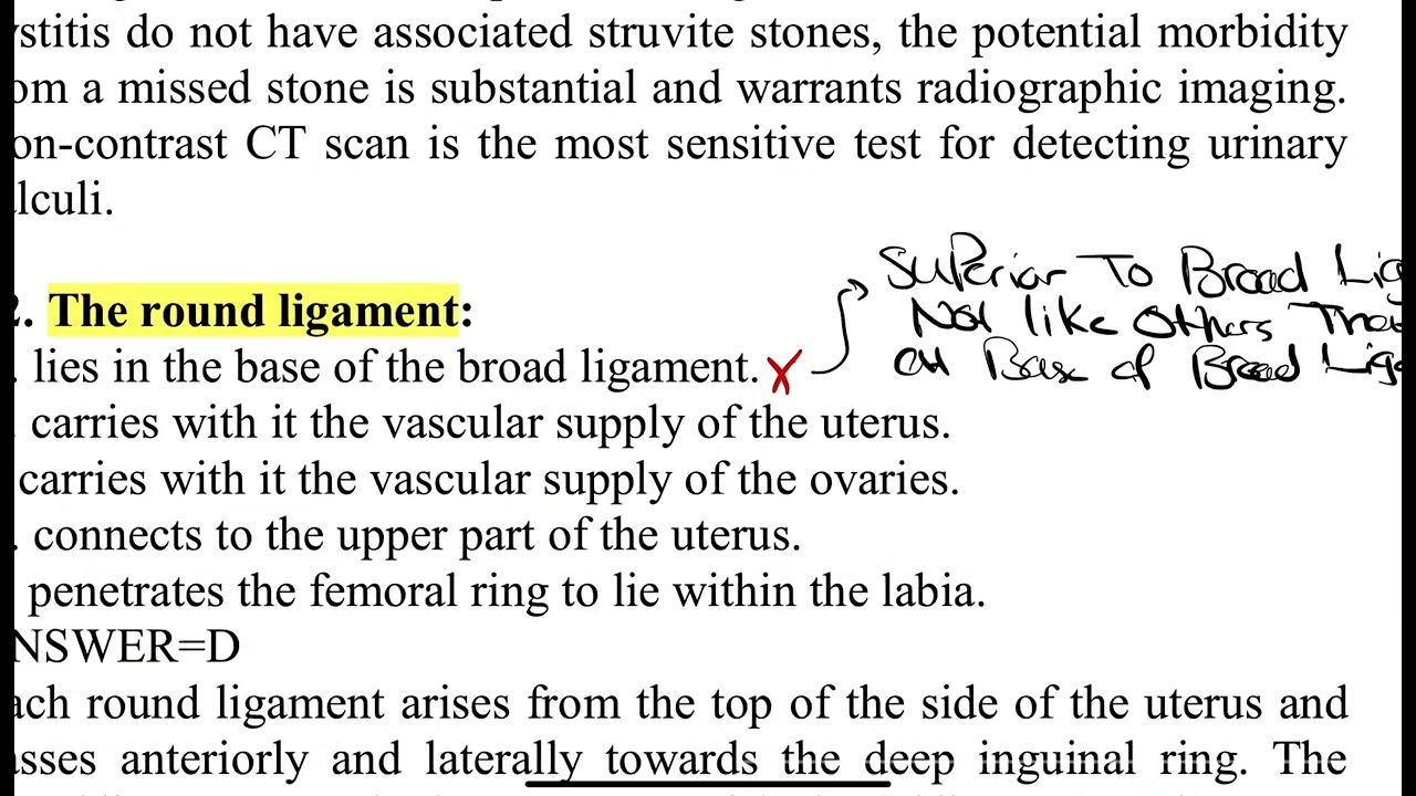 Round ligament of uterus