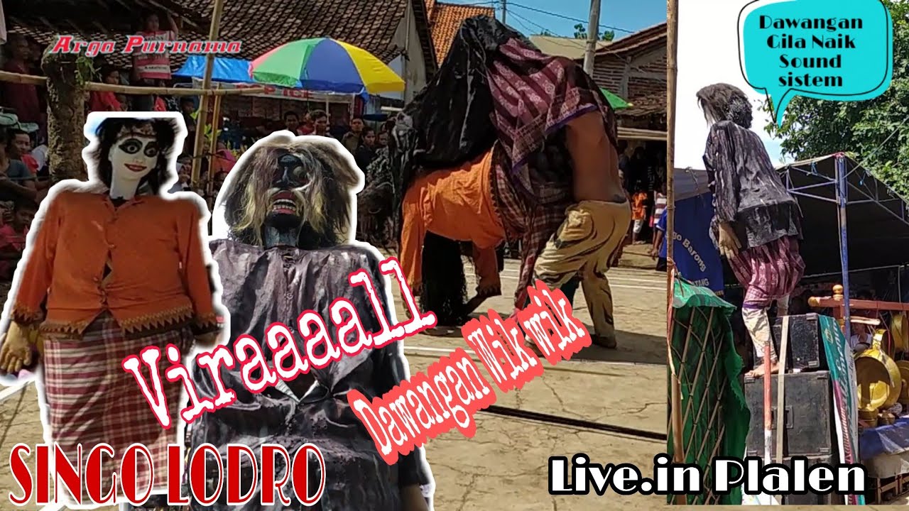 Dawangan Edan Gila Naik ke Sound Sistem dan Wik Wik Singobarong Singo Lodro Live Plalen Gringsing