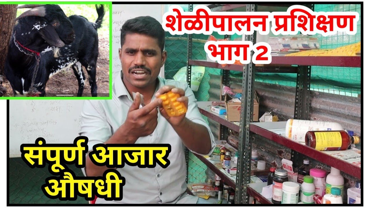 आसं असतं आमचं शेळीपालन प्रशिक्षण. नोंदणी करा 9307874449 Ft Satish Ranher #shelipalan #शेळीपालन