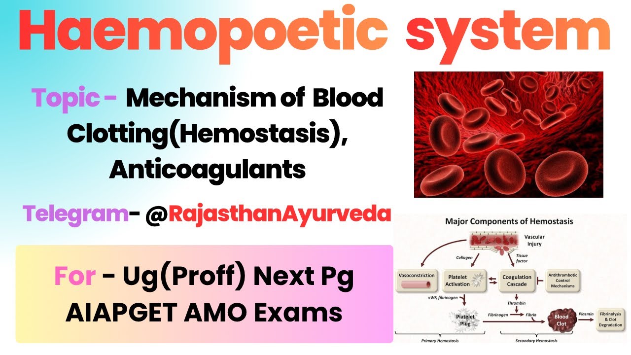 Mechanism of Blood Clotting(Hemostasis), Anticoagulants In Hindi And English Ug, Next, AIAPGET Exams