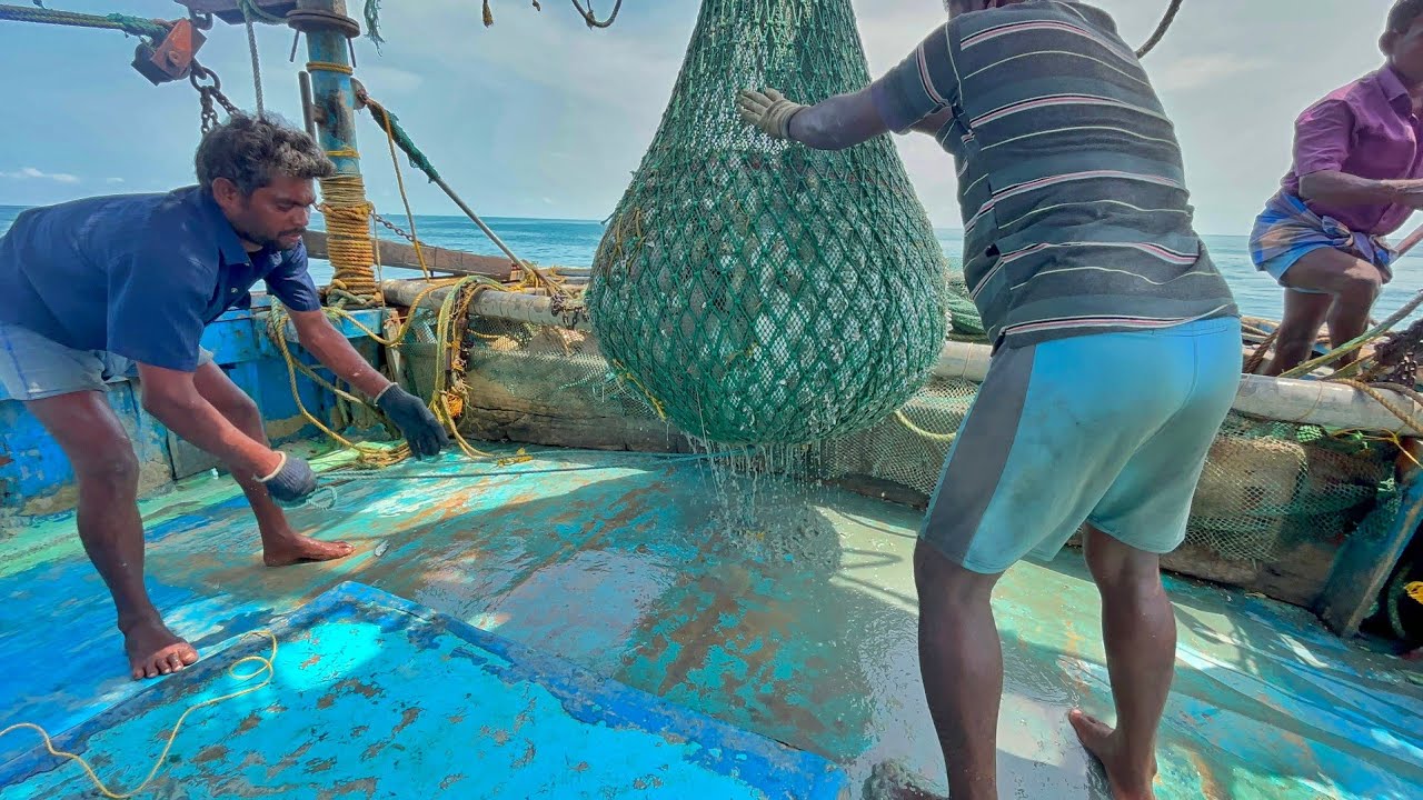 Ohh❗Prawns & Crab Catches 💢 Indian Fishing Adventure 🤩 Very Old Method 