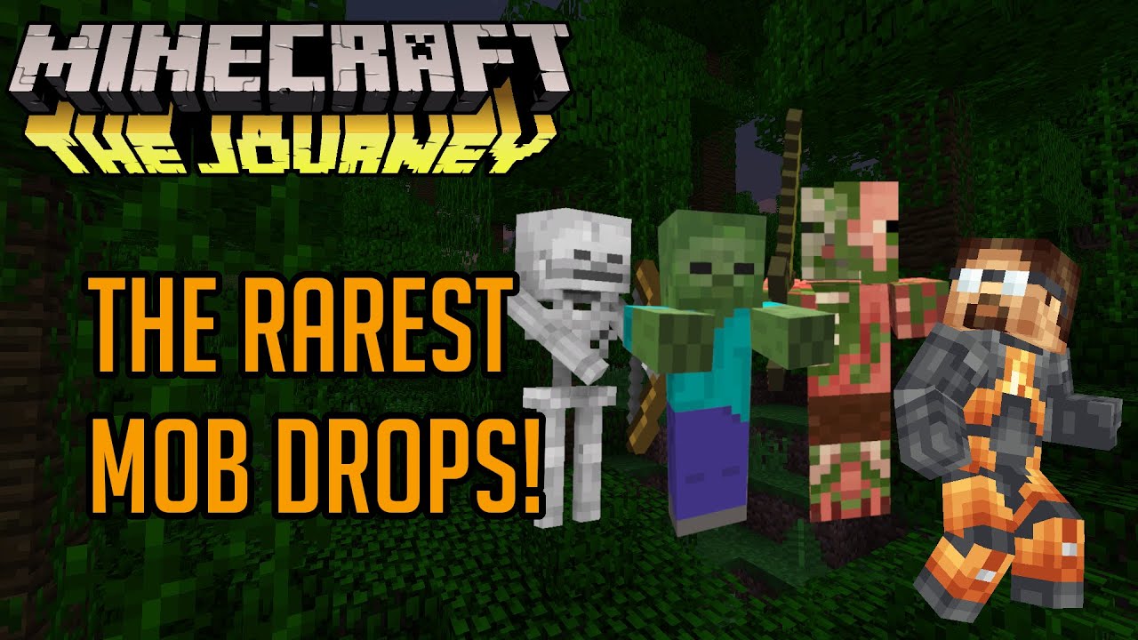 The Rarest Mob Drops! | Minecraft: The Journey | E174