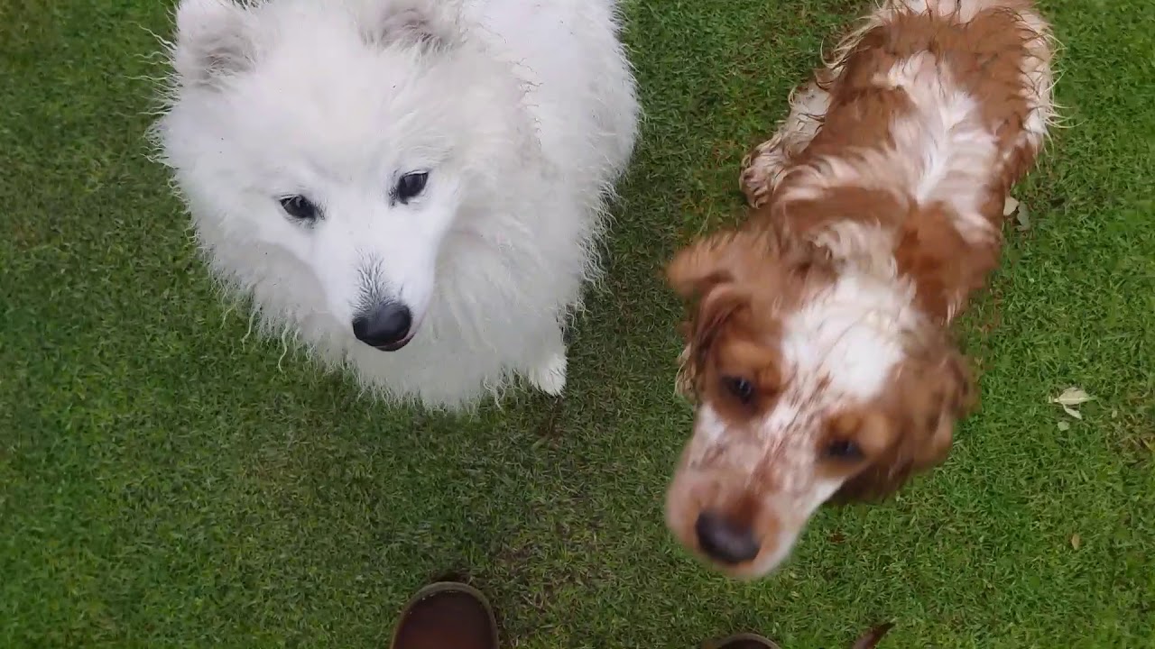 One year with Kumo