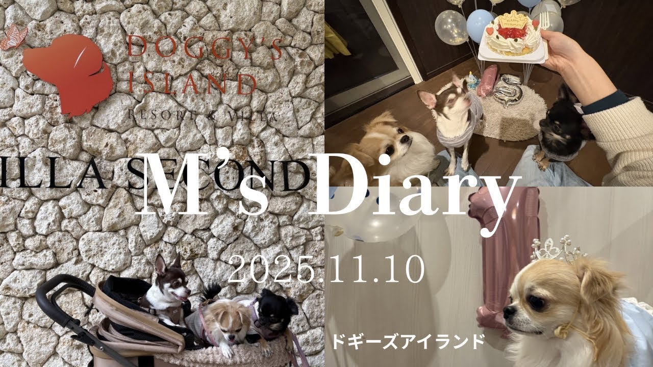 Vlog |はじめてのお泊まり