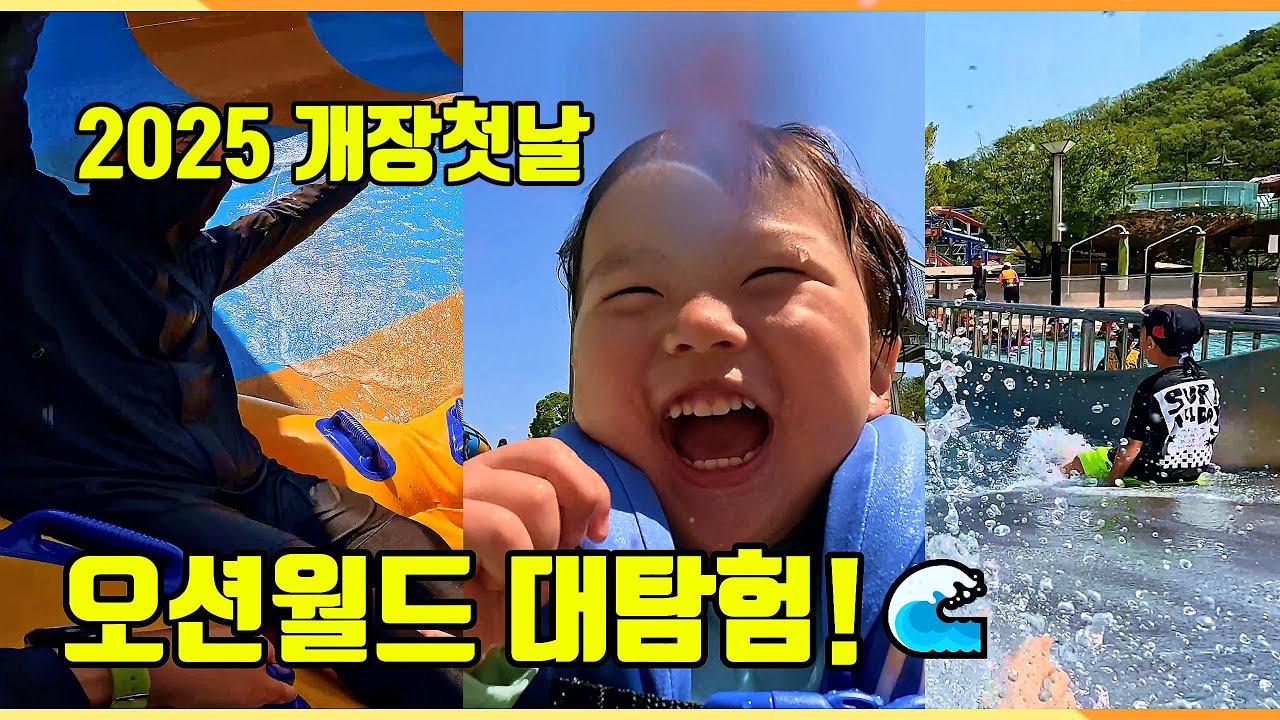2025 오션월드 실내+야외 총정복🔥