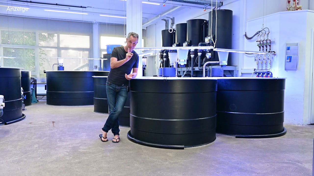 Modern Koi Blog #4602 - Auf welchem Weg kann man Filterbakterien umsiedeln