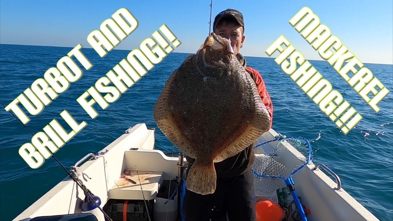 Drifting Sandbanks For Turbot And Brill - Sea Fishing UK 🇬🇧🇬🇬