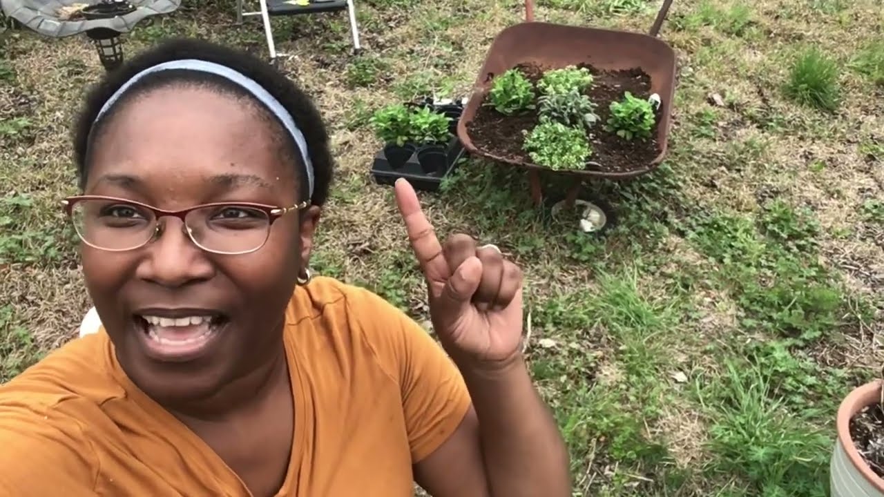 Garden Vlog | Spring 2022 | Planting flowers in an old wheelbarrow
