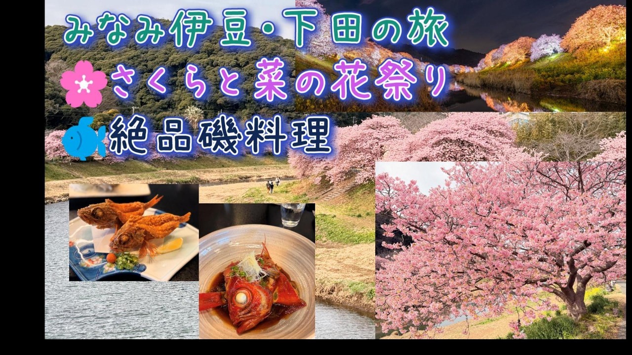 南伊豆　みなみの桜と菜の花祭り