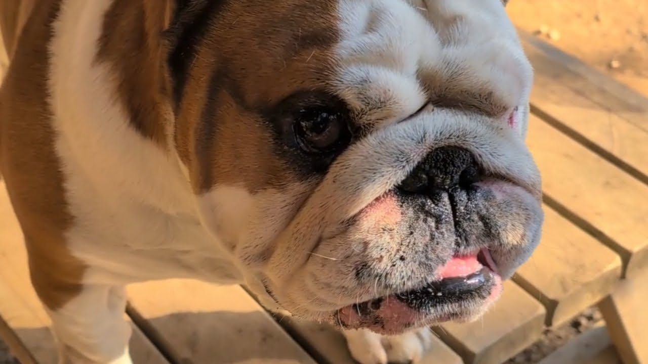 Отличное времяпровождение с ребятами 🥰