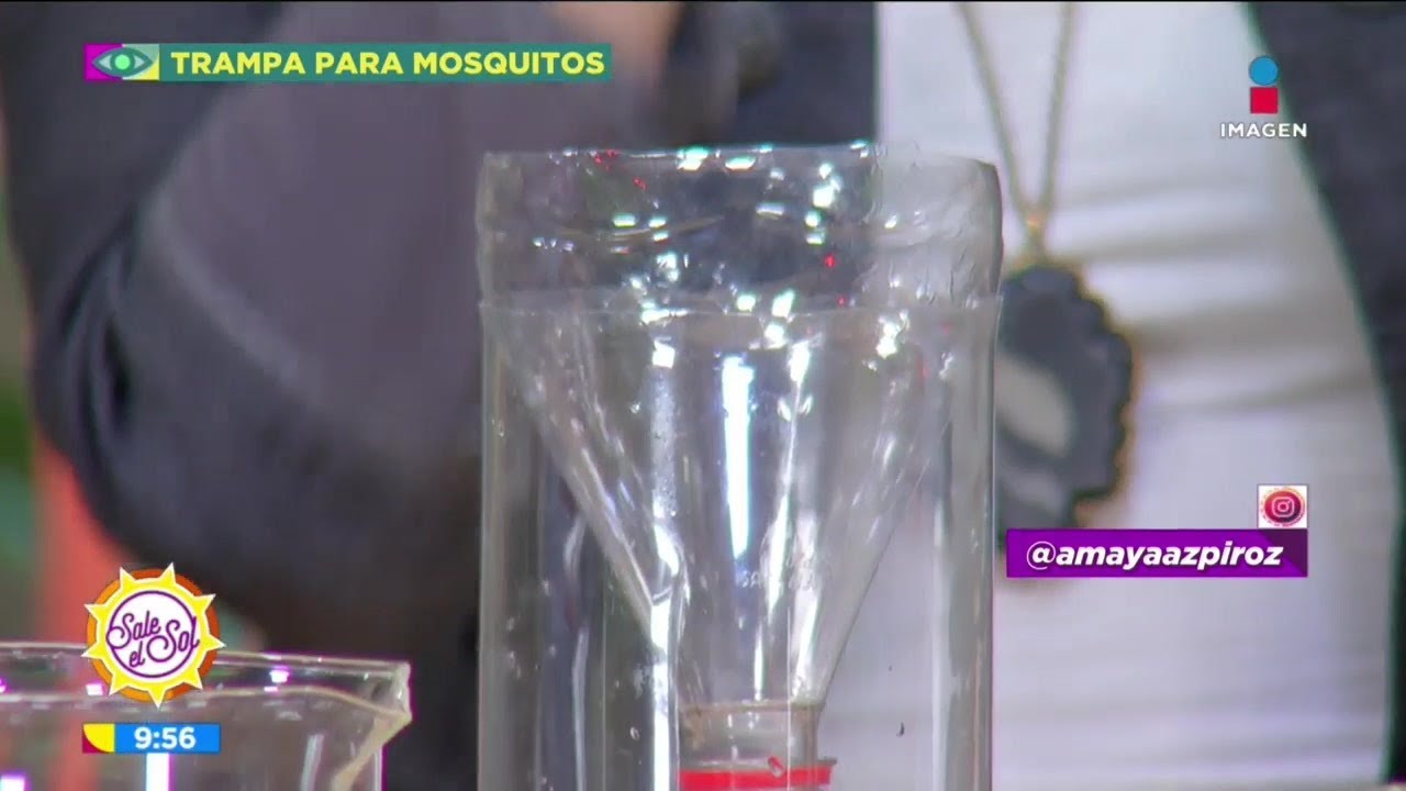 ¡Trampa casera para atrapar mosquitos! | Sale el Sol