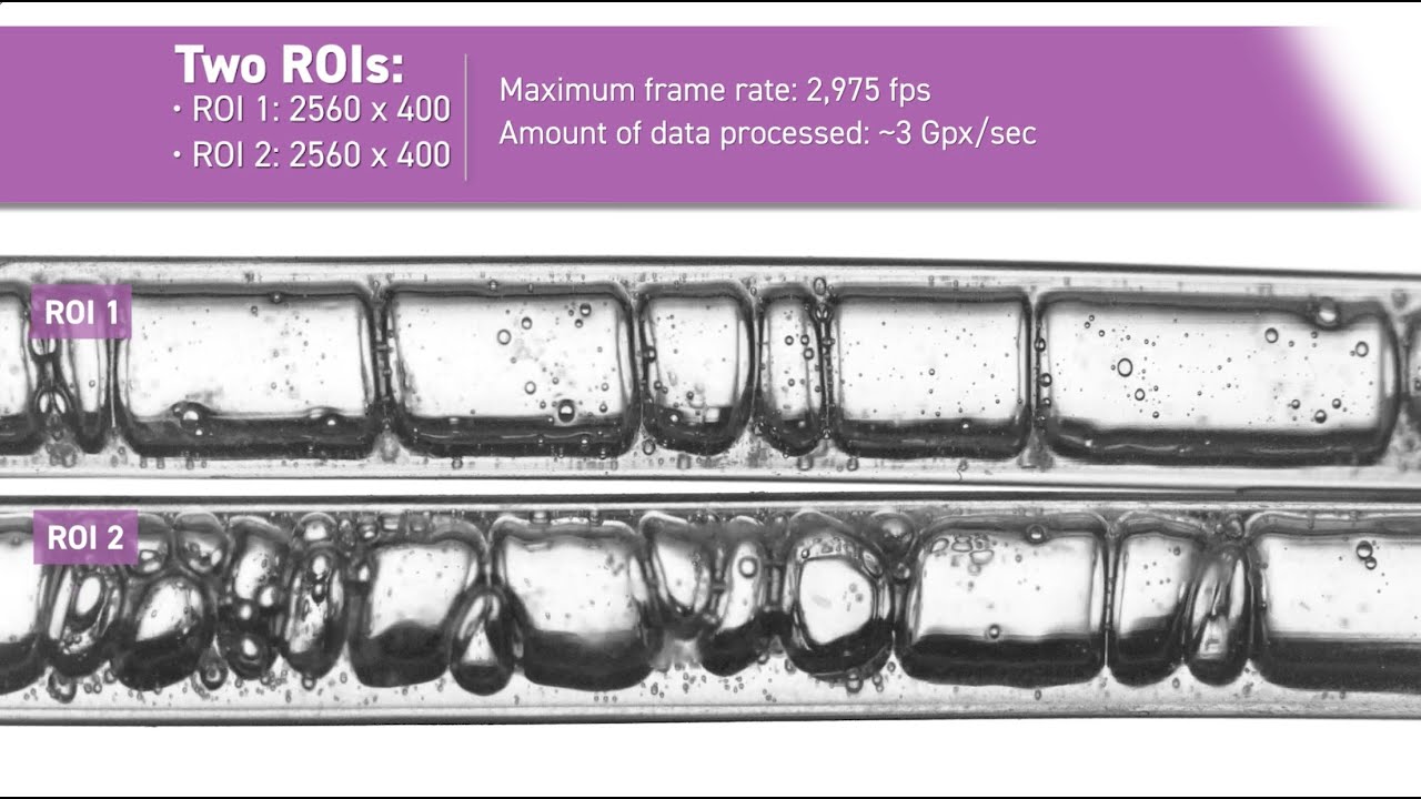 Phantom S641 with ROI – Processing 2 Cytometry Experiments at Once
