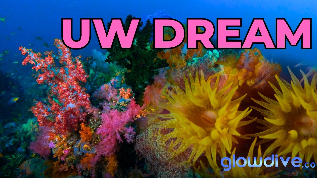 Underwater Dream