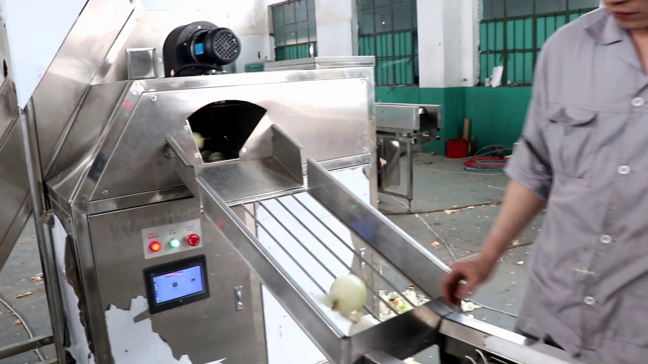 onion peeler machine