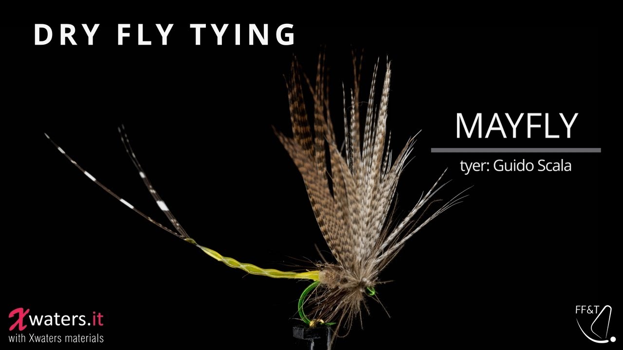 Mayfly extended body with UV resin - tutorial fly tying video - Tyer Guido Scala