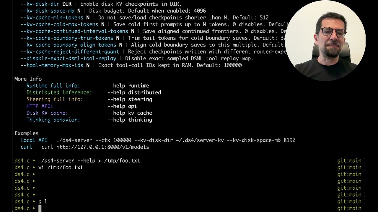 (EN audio) DwarfStar incremental --help