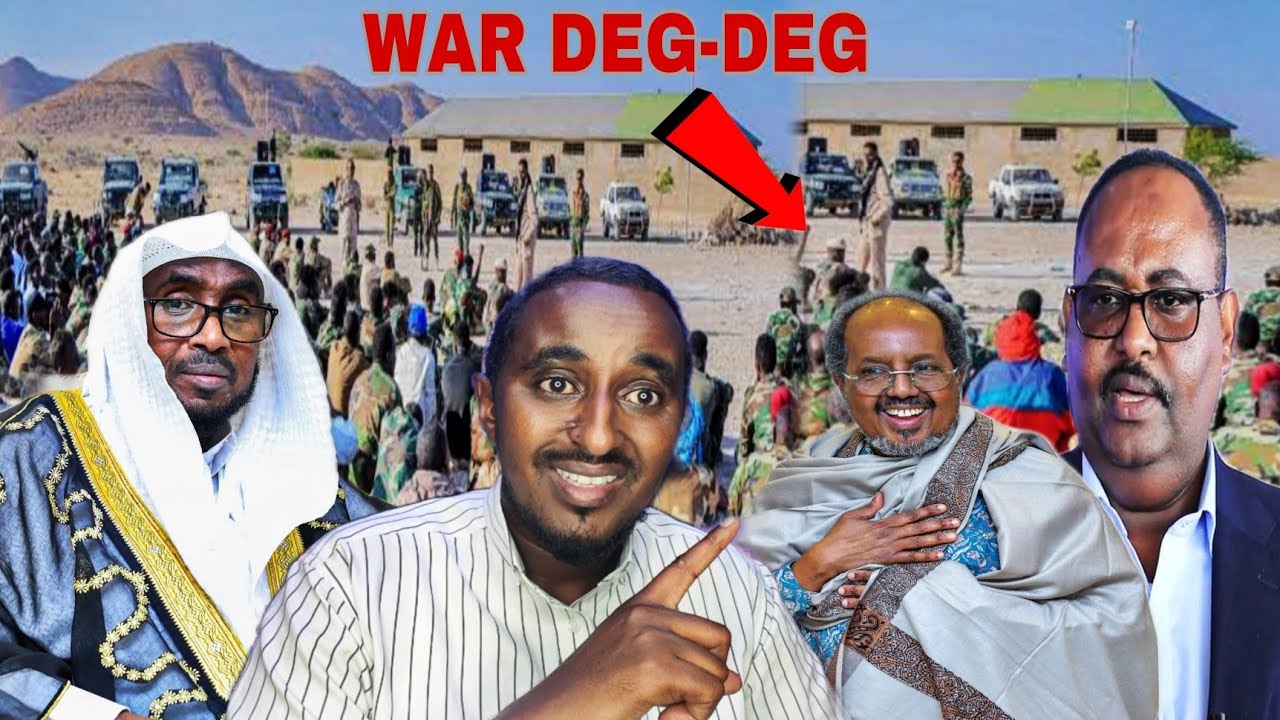 Dawo war wayn puntland ogalaatay lashaqaynta DFS isimada daarood mabaxiista hargeysa & lasacaanood.