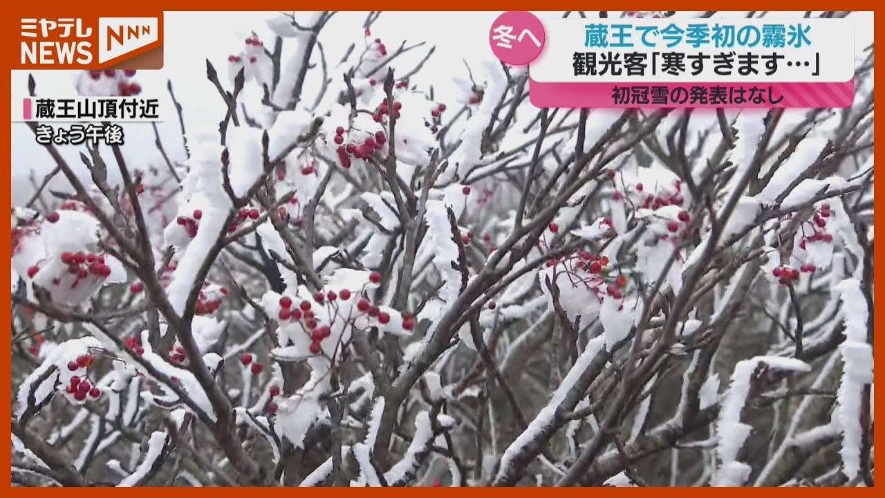 今シーズン初めて『霧氷』、蔵王山頂のお釜で…強い寒気が流れ込んだ影響「樹木の枝に霧がつきだんだん大きくなる」