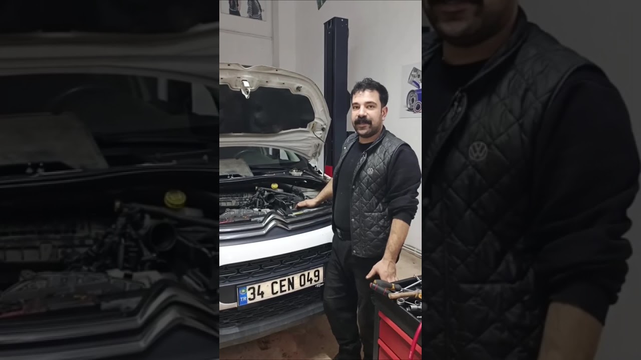 1.2 Puretech Egzantirik Arzası   ... 