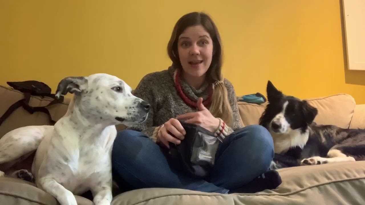 Dog treat pouch reviews!