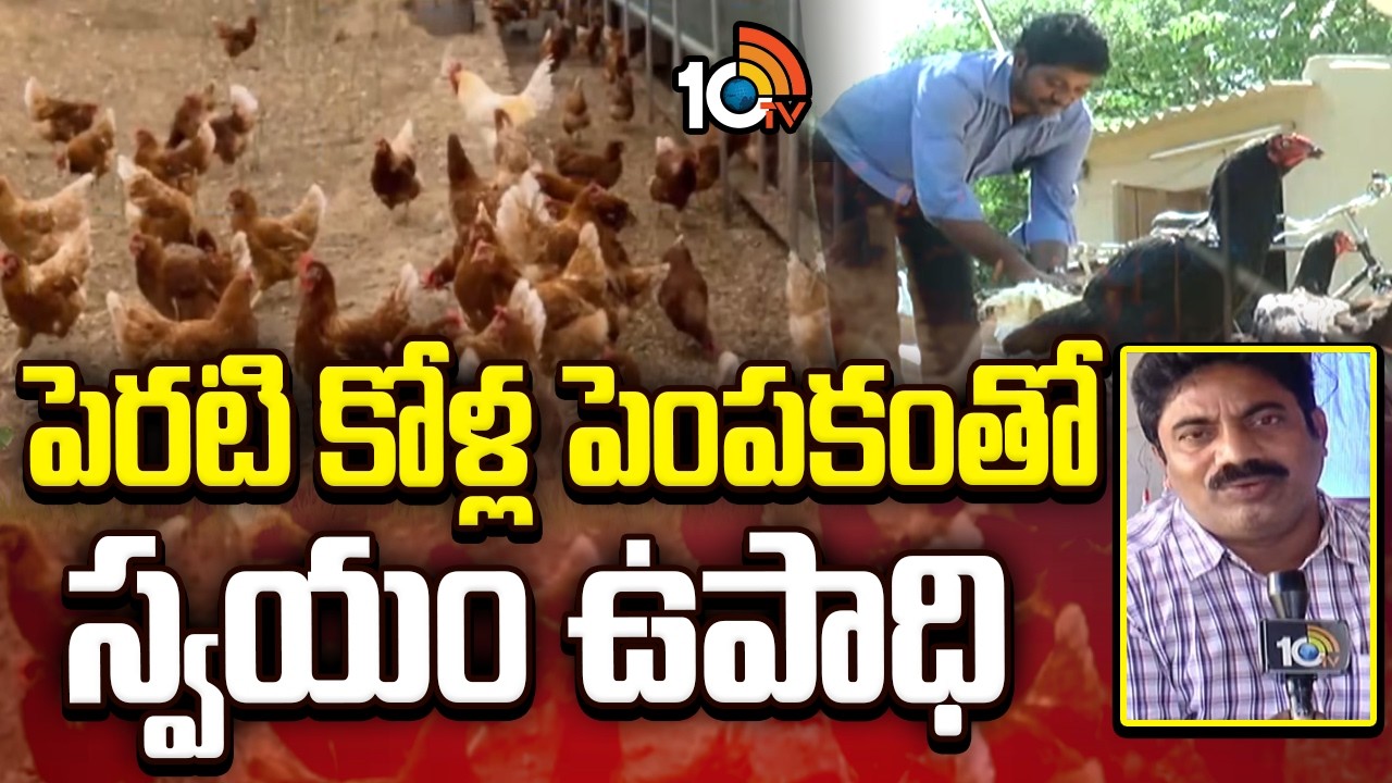 Self-Employment with Backyard Chicken Farming | పెరటి కోళ్ల పెంపకంతో స్వయం ఉపాధి | Matti Manishi