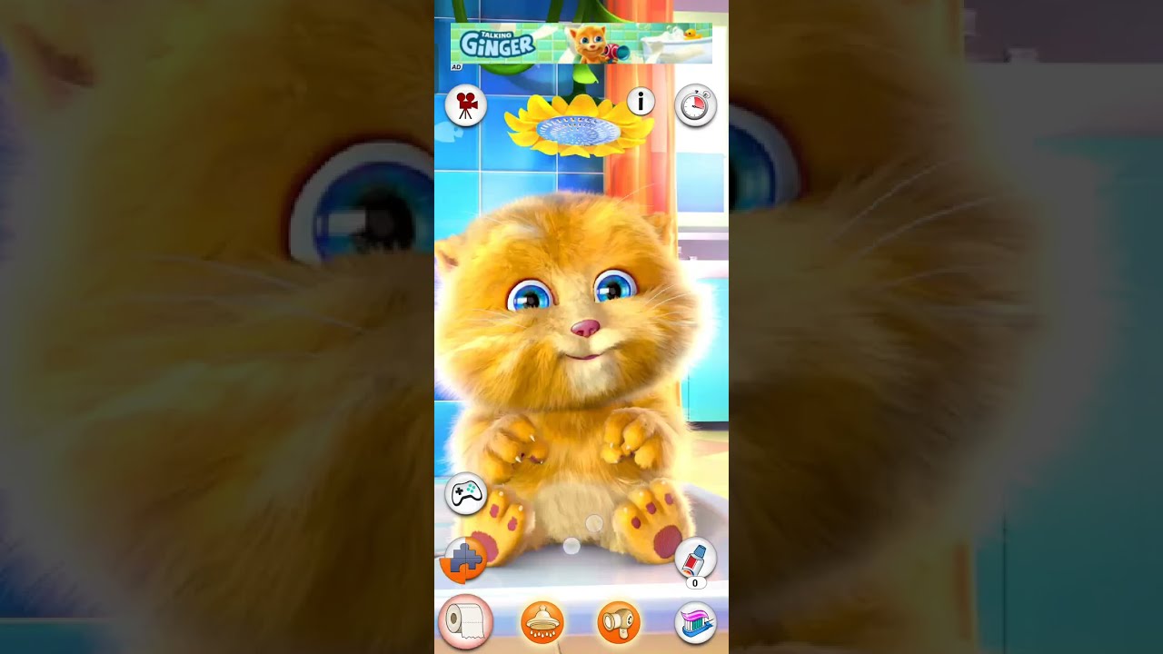 Talking tom cat fanny  video 🥨🍓🍍🌽🥪🍑🥝🍟
