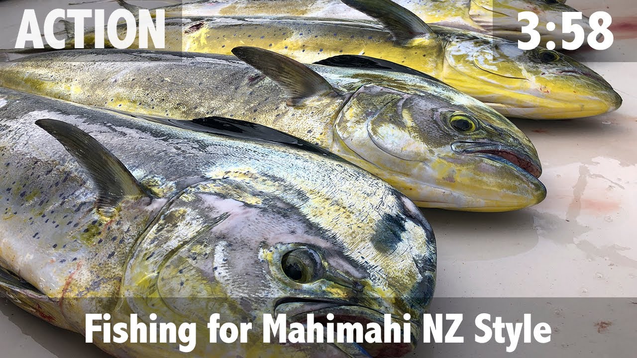 Fishing for Mahimahi NZ Style