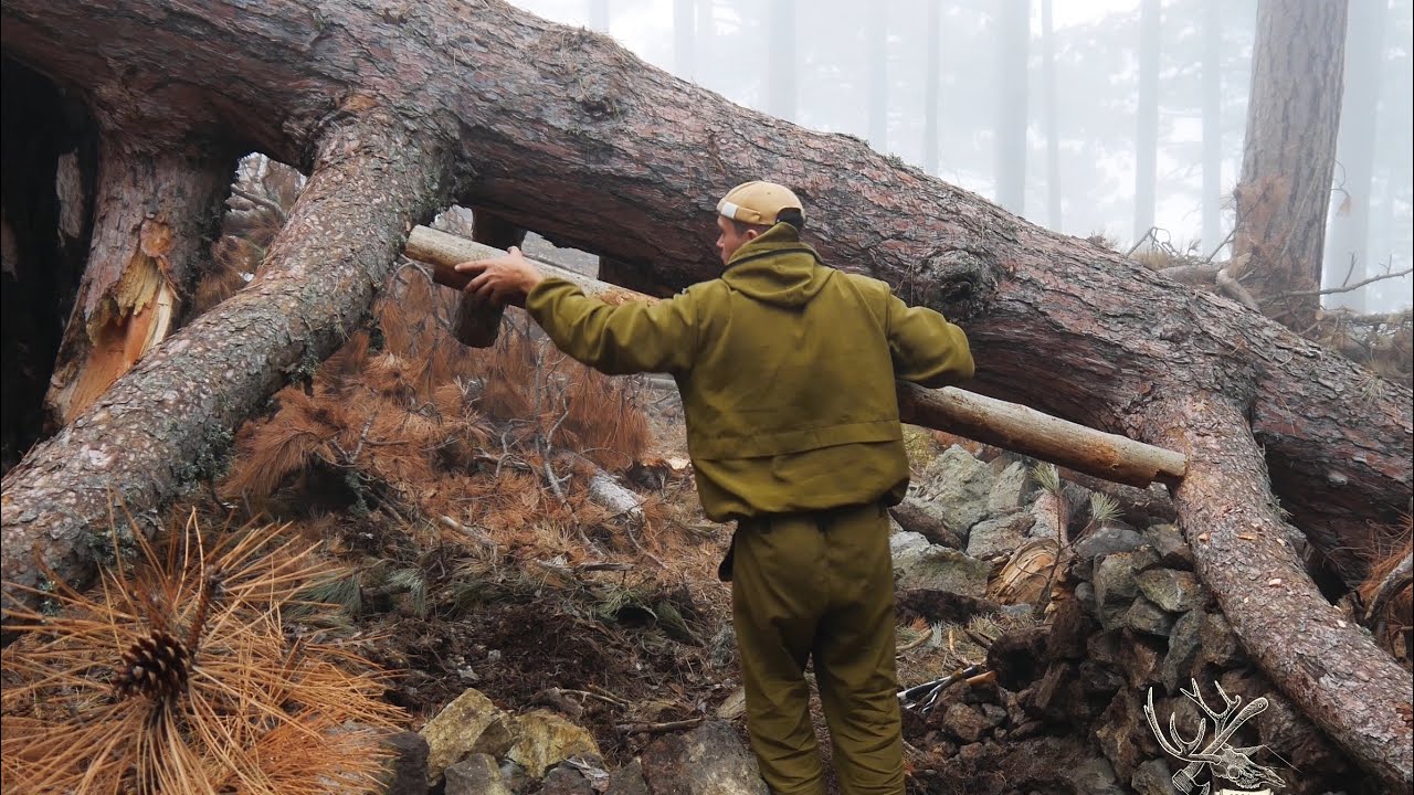 ALONE in the misty forest 🌲Shelter by fallen tree🪵