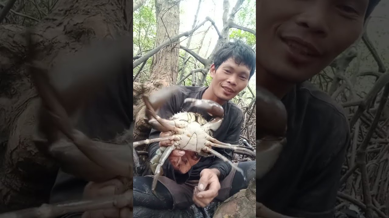 Nasa ilalim Ng Puno malaking alimango | Love's TV
