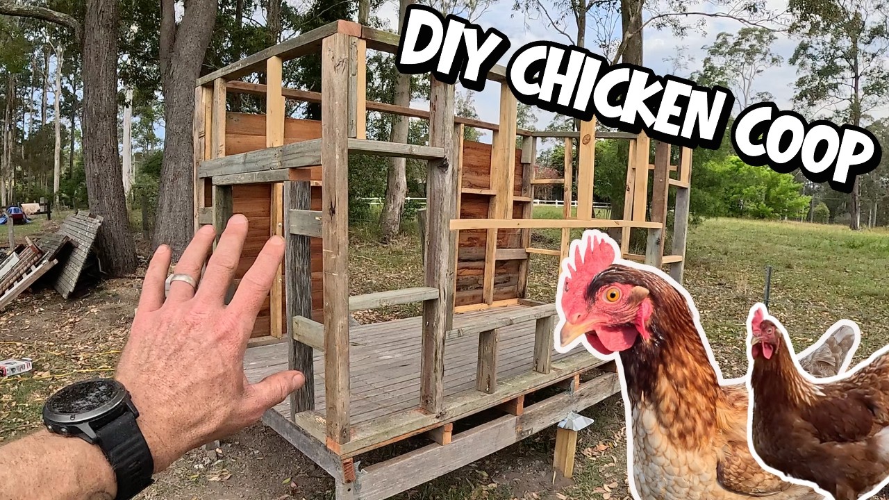 DIY Chicken Coop Build with Facebook Marketplace Find (Part 1) | Planning + Frame
