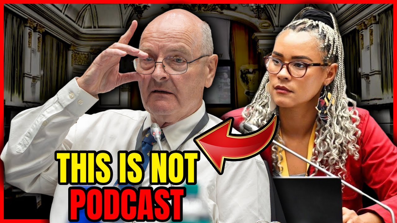“THIS IS NOT YOUR PODCAST!” — Hon. Mathys SNAPS at Mr O’Sullivan