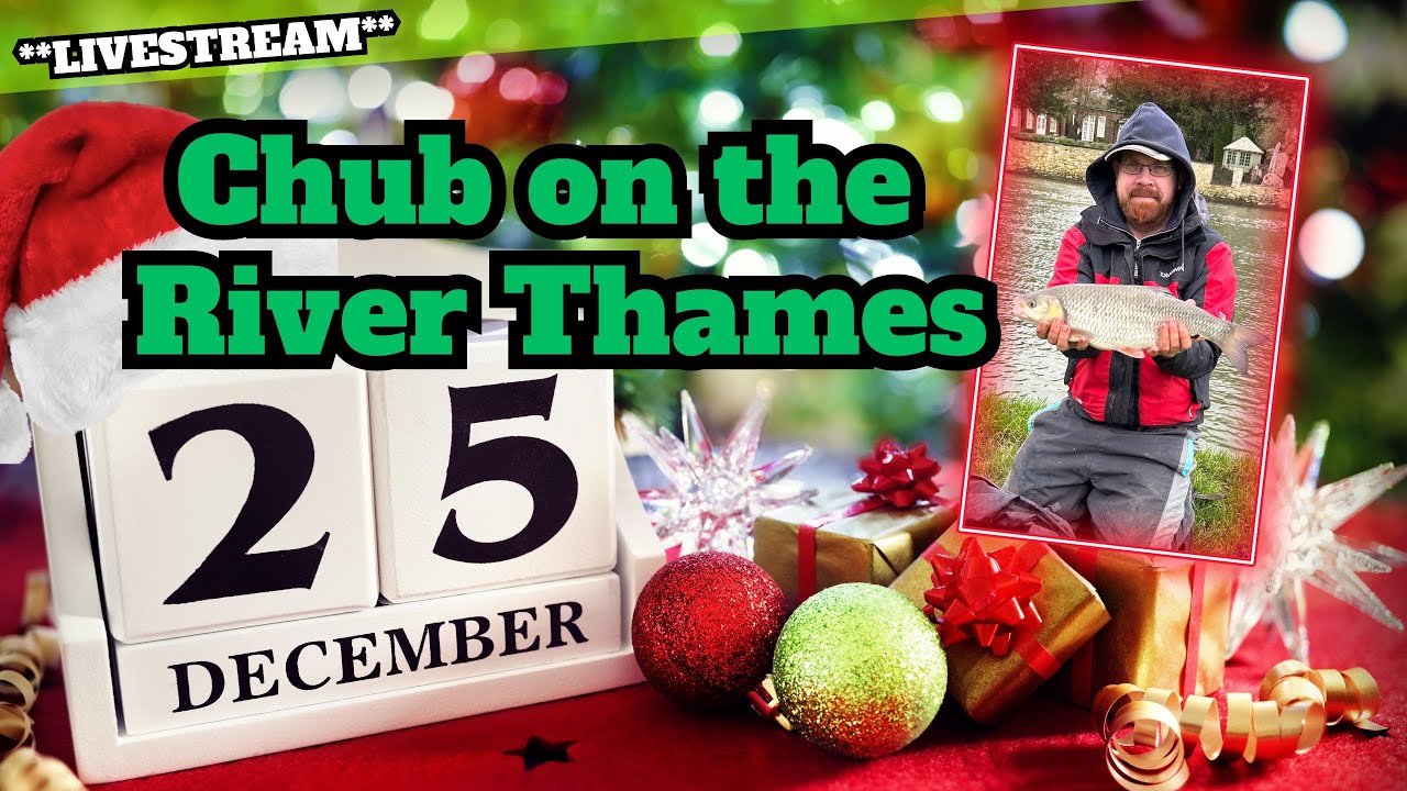 *Live* Christmas Day | Pole Feeder Chub | River Thames | 25/12/2023