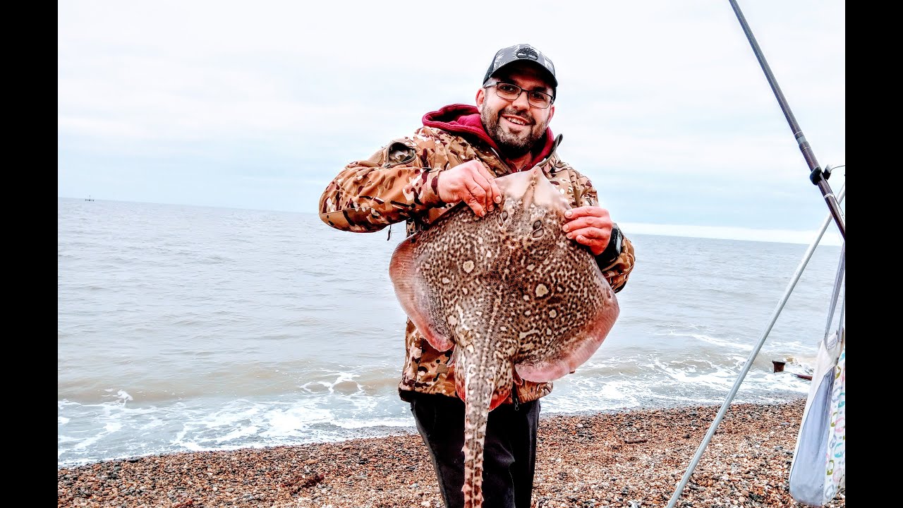 7 Płaszczek Thornback Ray i nowa życiówka / Beach Fishing UK [ENG SUB]