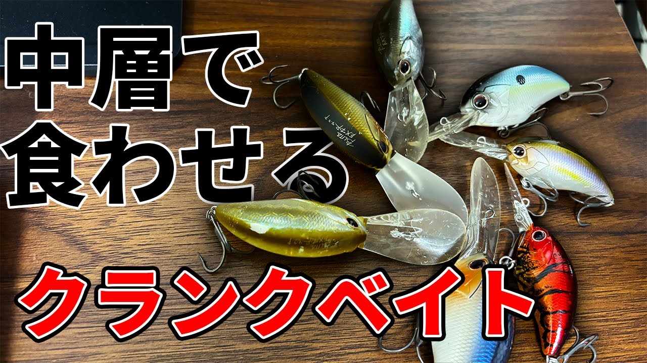 【クランク研究】中層クランキングで掴んだデカバスのチャンスと悔しい結末【ブリッツ】【バス釣り】【三河湖】