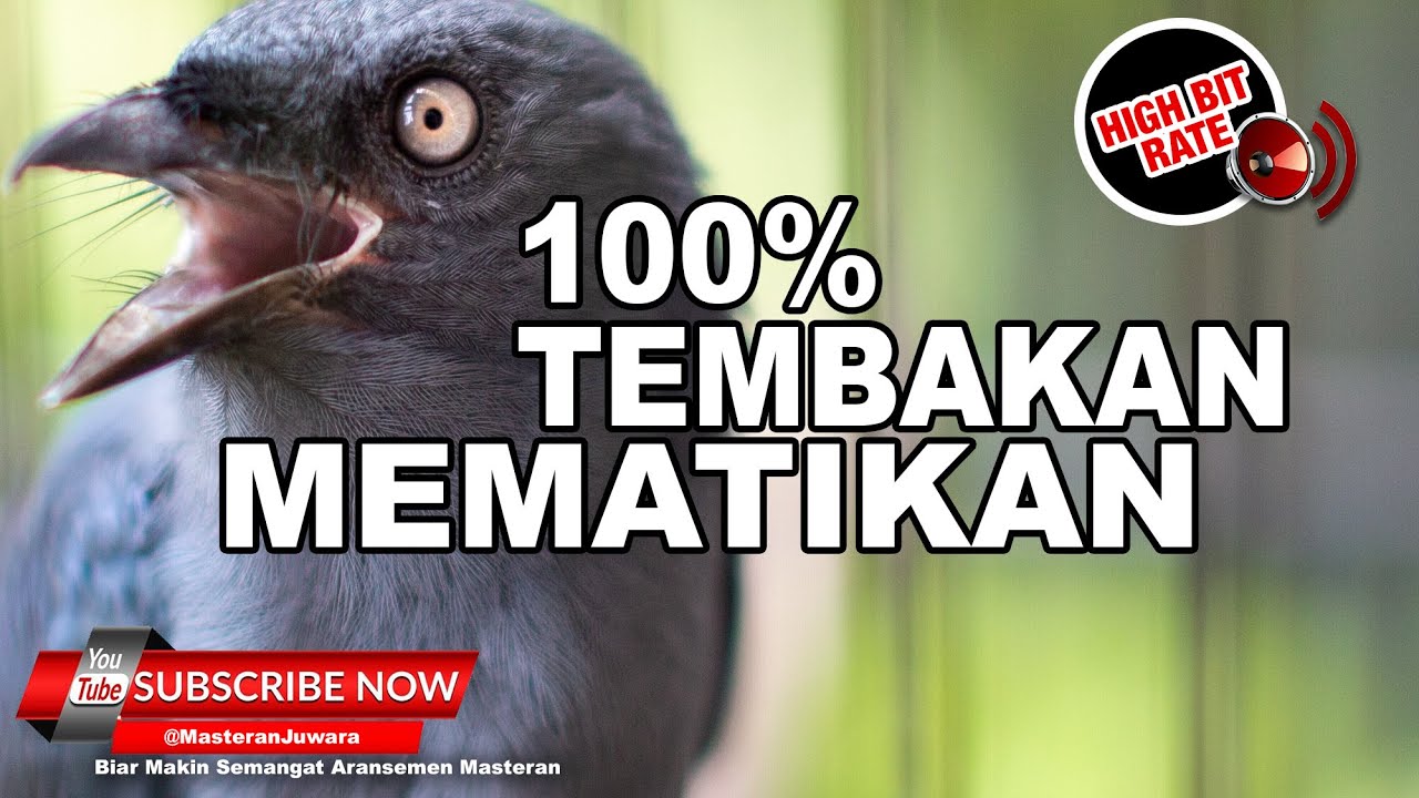 🔴 Srigunting ABU Gacor Full Nembak Cililin Tengkek Gereja Necret ❗️