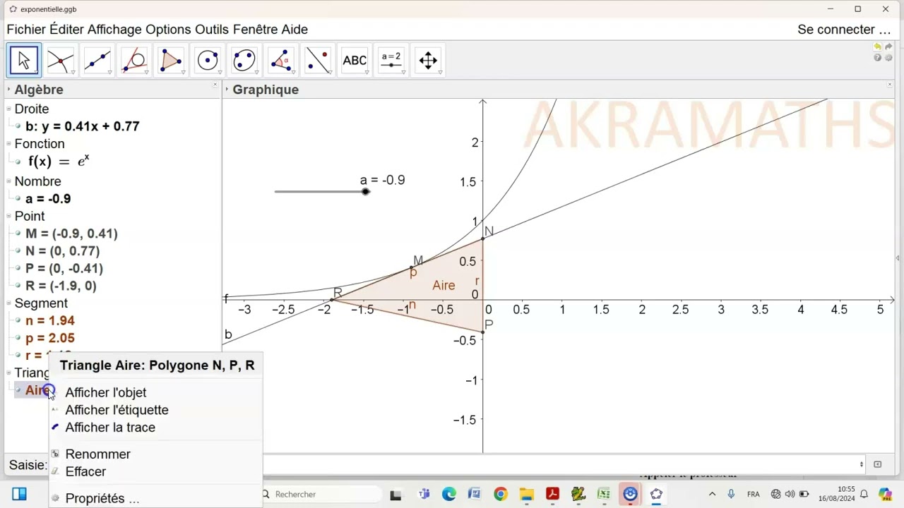 TP Terminale S: Aire maximale version exponentielle