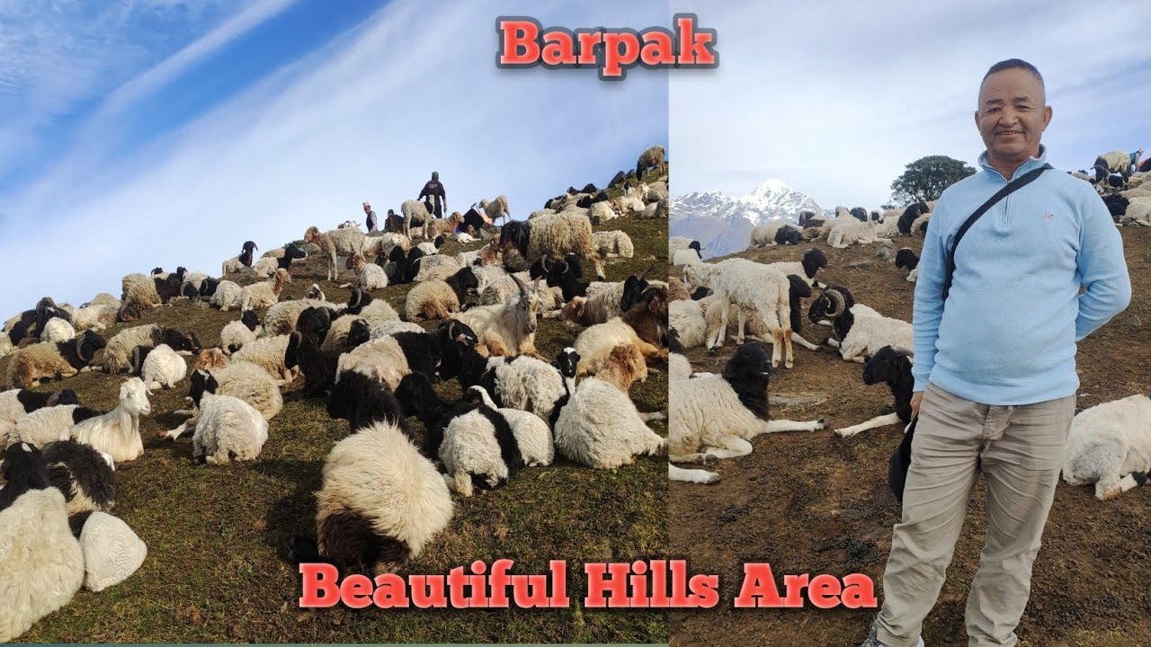 Our beautiful hills area at barpak#barpak#