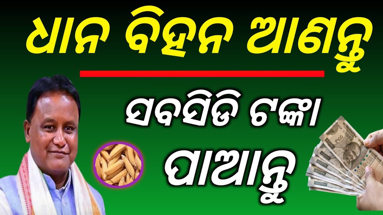 Get Paddy Seeds with Subsidy | Apply Online for Seed Subsidy 2025 | Farmers Must Watch