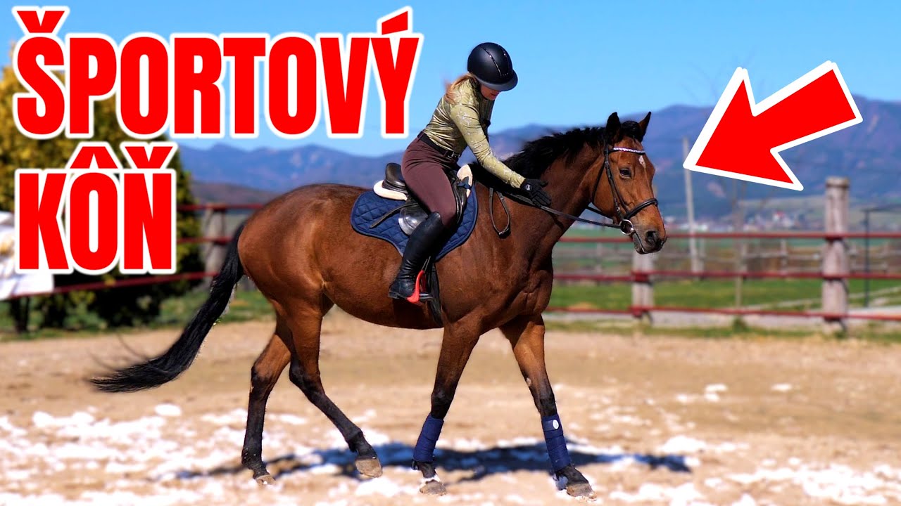 Požičali mi ŠPORTOVÉHO KOŇA!!!😲 Spoločná vychádzka s dievčatami 🐎 | jazdenie - jízda na koni